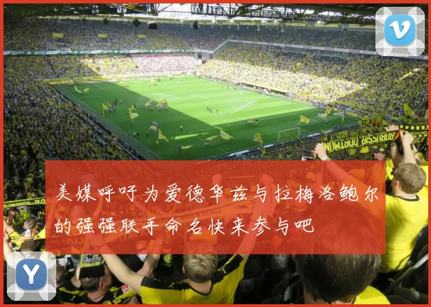 美媒呼吁为爱德华兹与拉梅洛鲍尔的强强联手命名快来参与吧