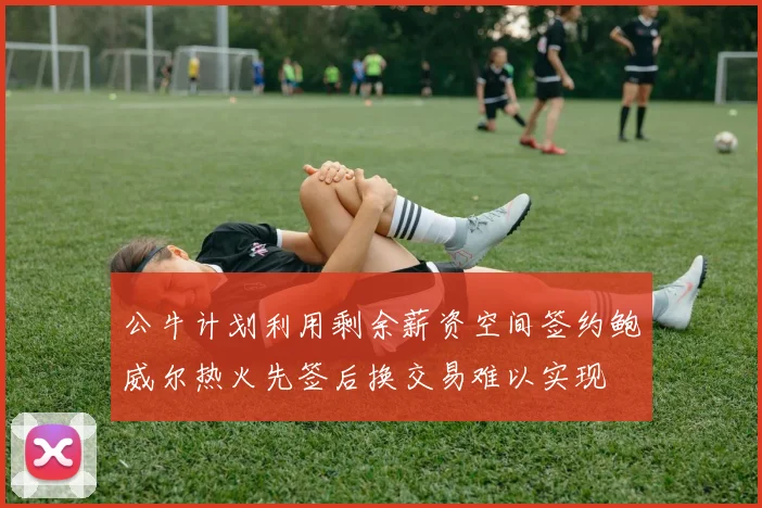 公牛计划利用剩余薪资空间签约鲍威尔热火先签后换交易难以实现
